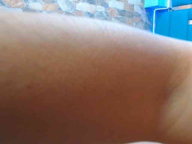 tommyxpamela444 webcam