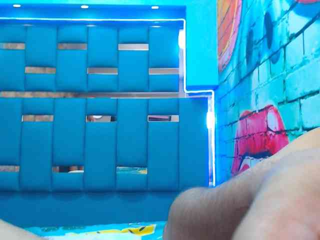 tommyxpamela444 webcam