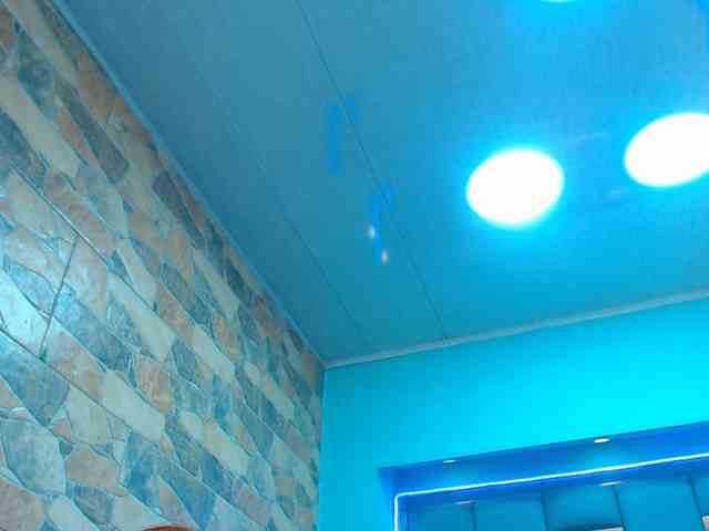 tommyxpamela444 tommyxpamela444