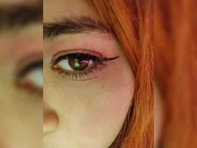 NessiePolly webcam