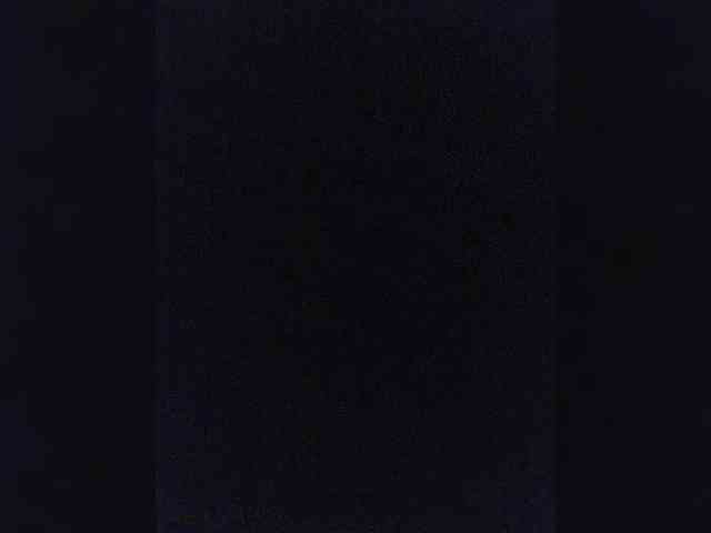 NessiePolly webcam