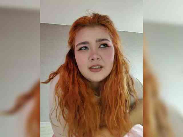 NessiePolly webcam