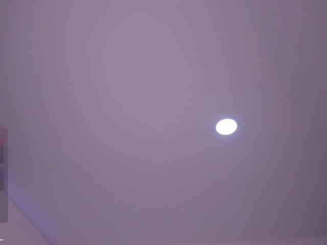 lymor webcam