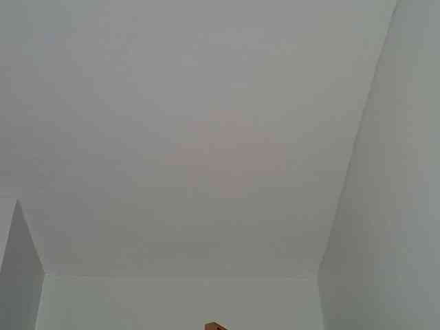 Onlyyhazelbrown webcam
