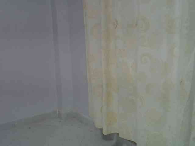 Onlyyhazelbrown webcam