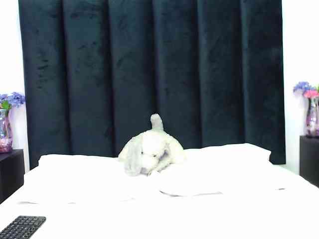 Scarlet-Ray webcam