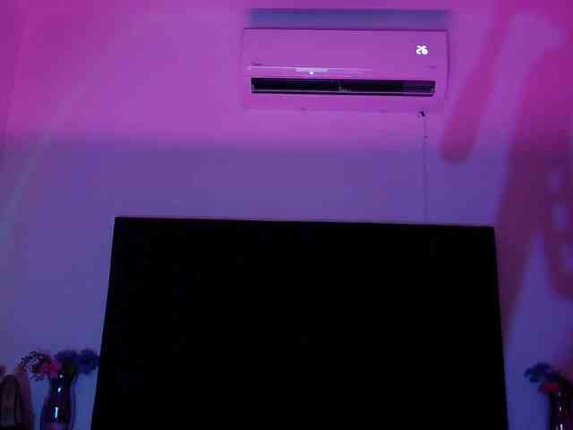Scarlet-Ray webcam