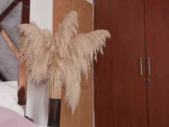 Cherrylee webcam