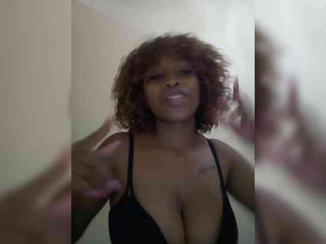 Jolly5 webcam