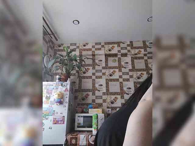 SilverCrystal webcam