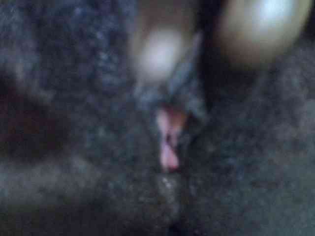 Cute-tamarah webcam