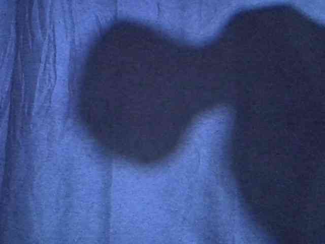 Cute-tamarah webcam