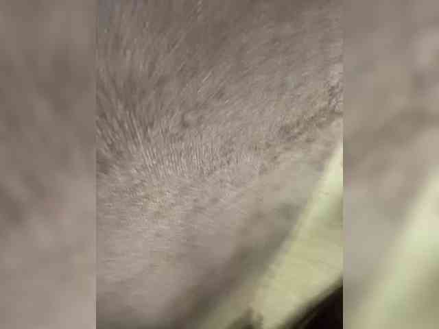 ChristineJackson webcam