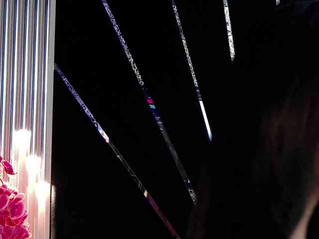 RayaNox webcam
