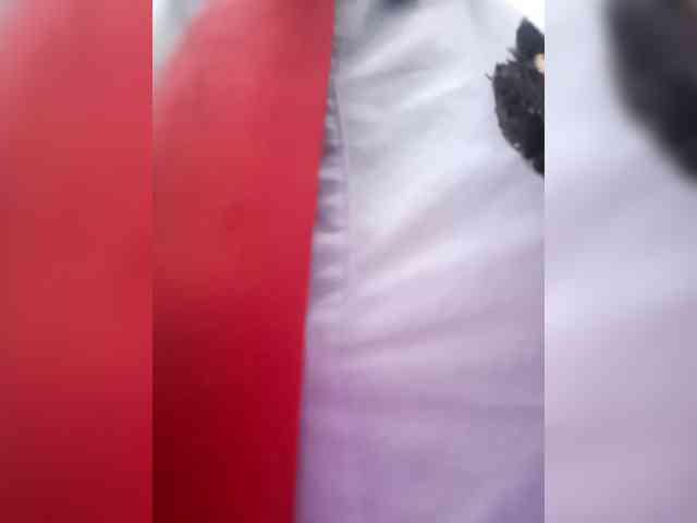 Marce_office29 webcam