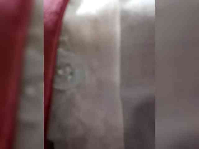 Marce_office29 webcam