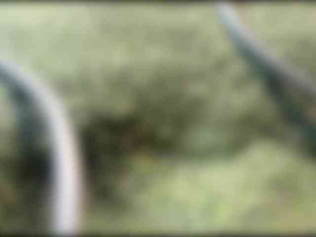 charmingaura1 webcam