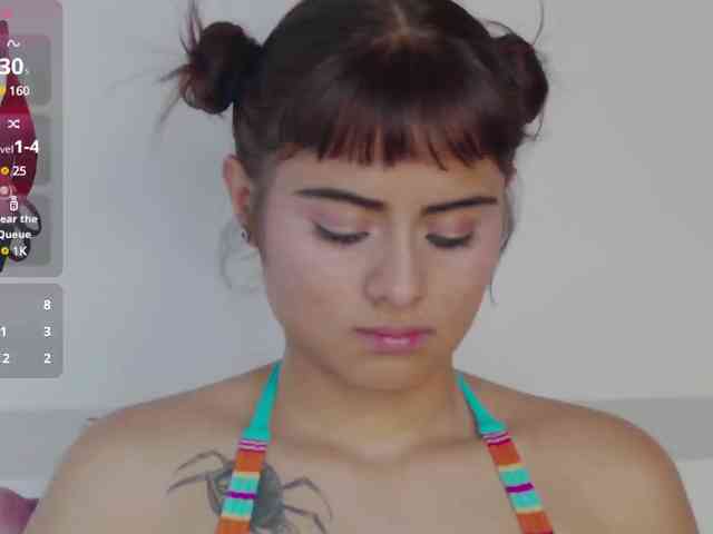 Agatha-lane webcam