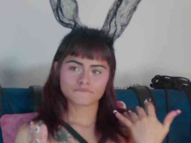 Agatha-lane webcam