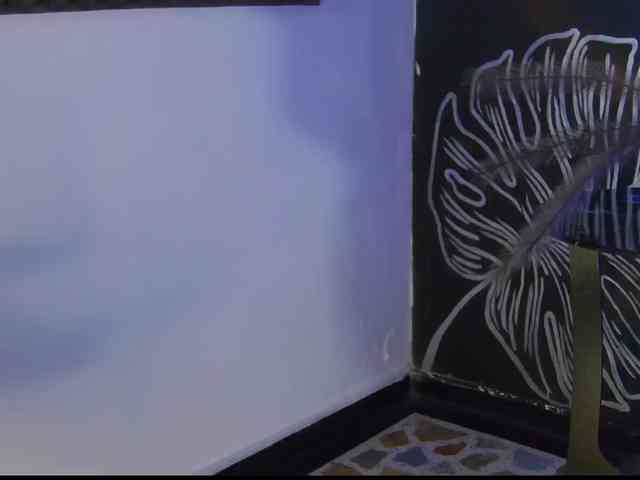 Agatha-lane webcam