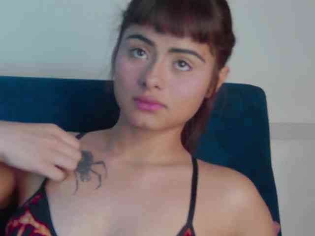 Agatha-lane webcam
