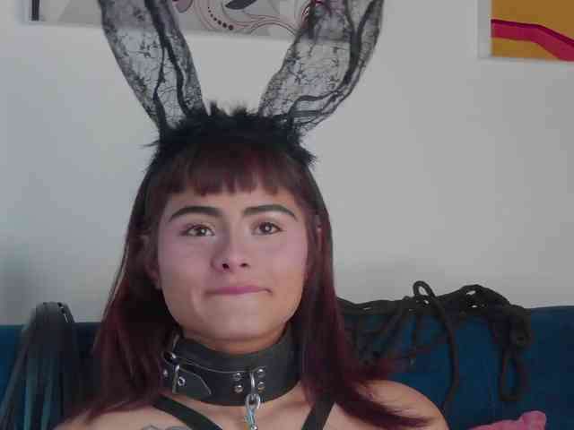 Agatha-lane webcam