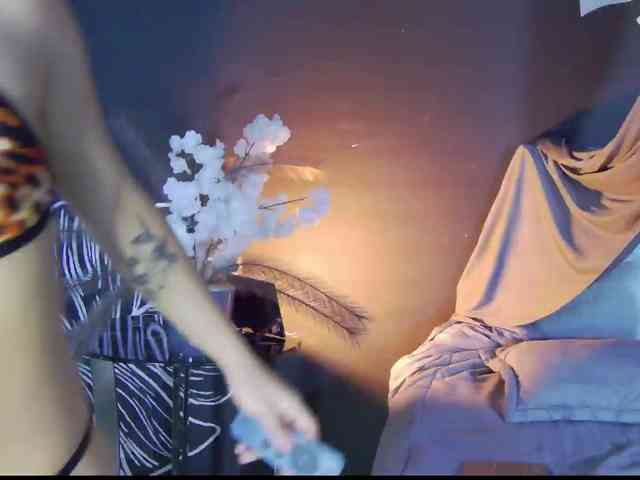 Agatha-lane webcam