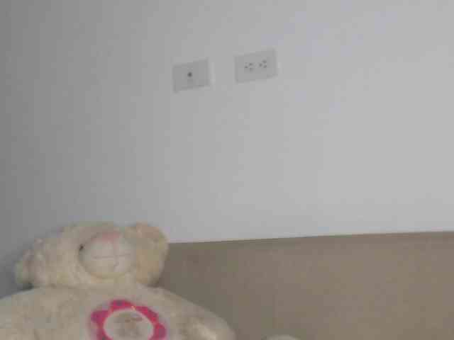 Polet-Lambertt webcam