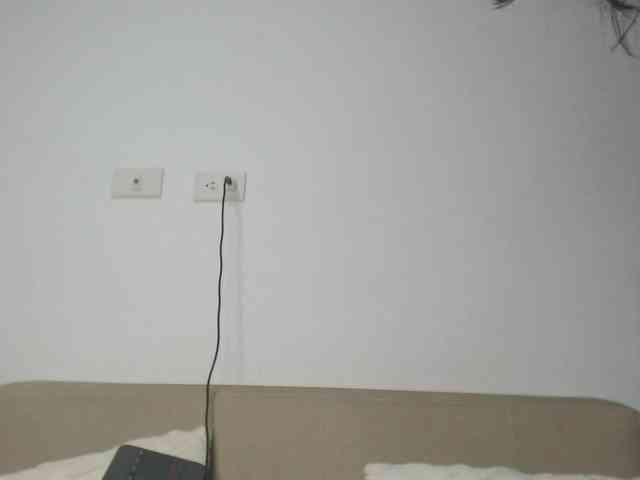 Polet-Lambertt webcam