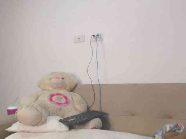 Polet-Lambertt webcam
