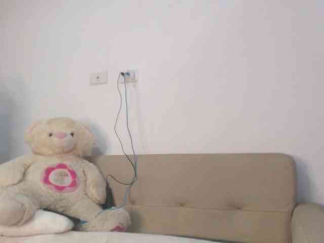 Polet-Lambertt webcam