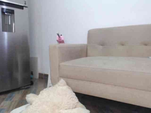 Polet-Lambertt webcam
