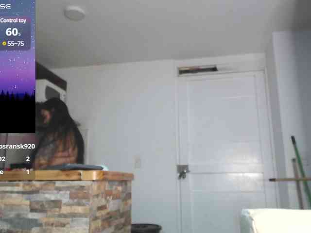 Polet-Lambertt webcam