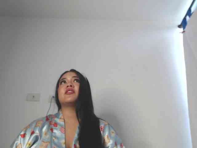 Polet-Lambertt webcam
