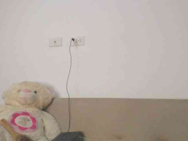 Polet-Lambertt webcam