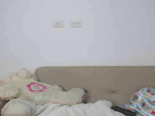 Polet-Lambertt webcam