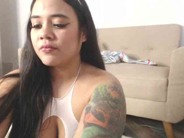 Polet-Lambertt webcam