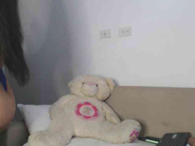 Polet-Lambertt webcam