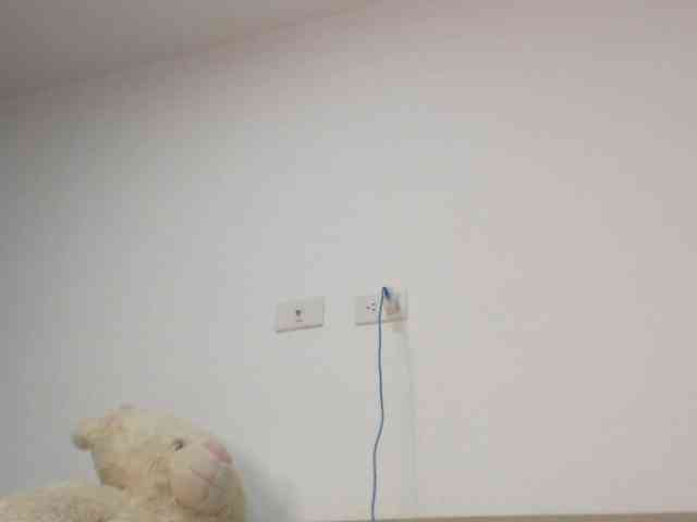 Polet-Lambertt webcam