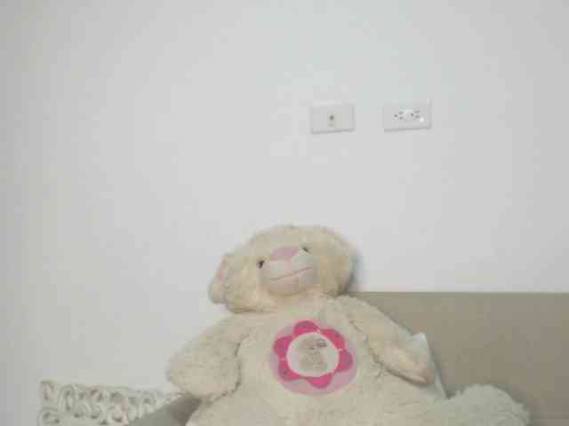 Polet-Lambertt webcam