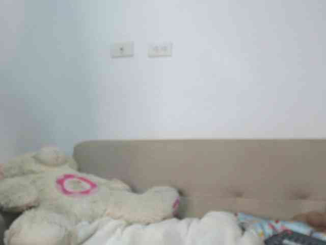 Polet-Lambertt webcam