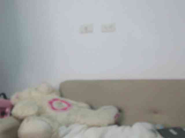 Polet-Lambertt webcam