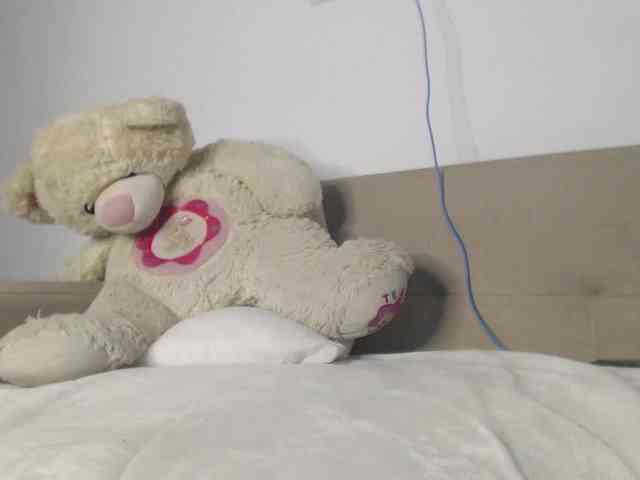 Polet-Lambertt webcam