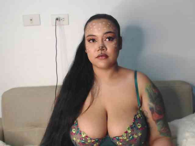 Polet-Lambertt webcam