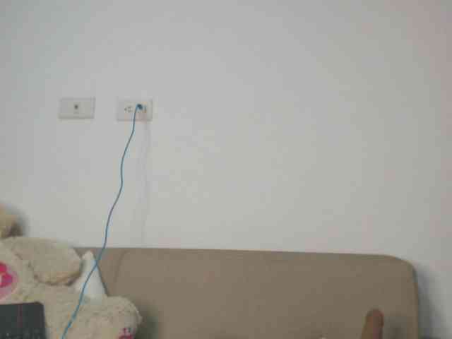 Polet-Lambertt webcam