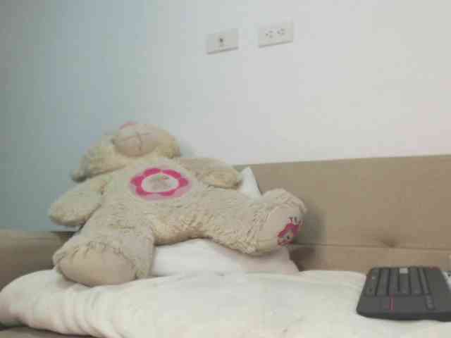 Polet-Lambertt webcam