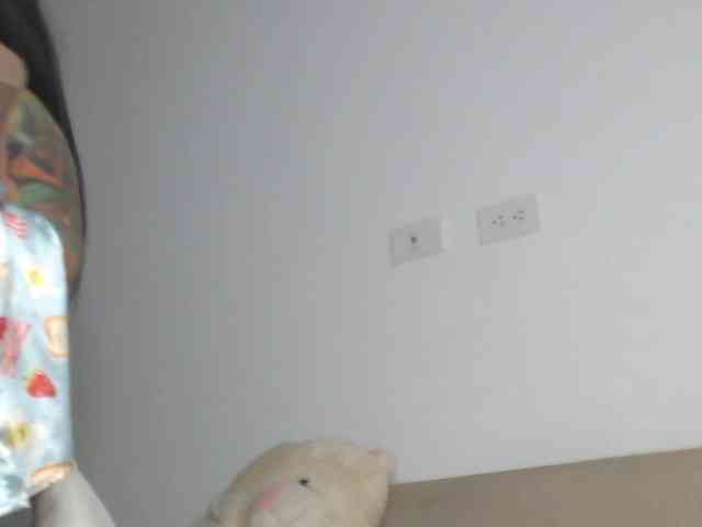 Polet-Lambertt webcam