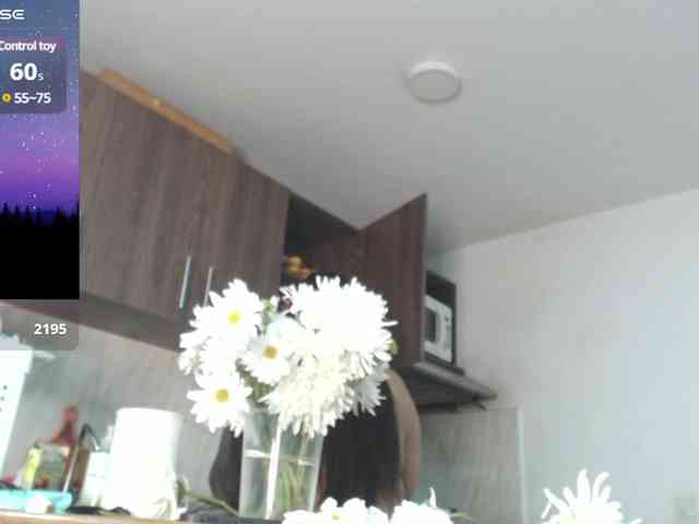 Polet-Lambertt webcam