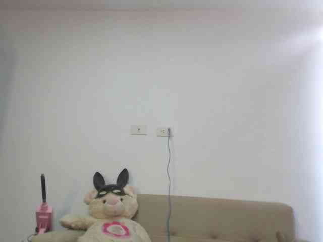 Polet-Lambertt webcam