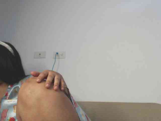 Polet-Lambertt webcam